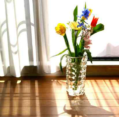 窓辺の花